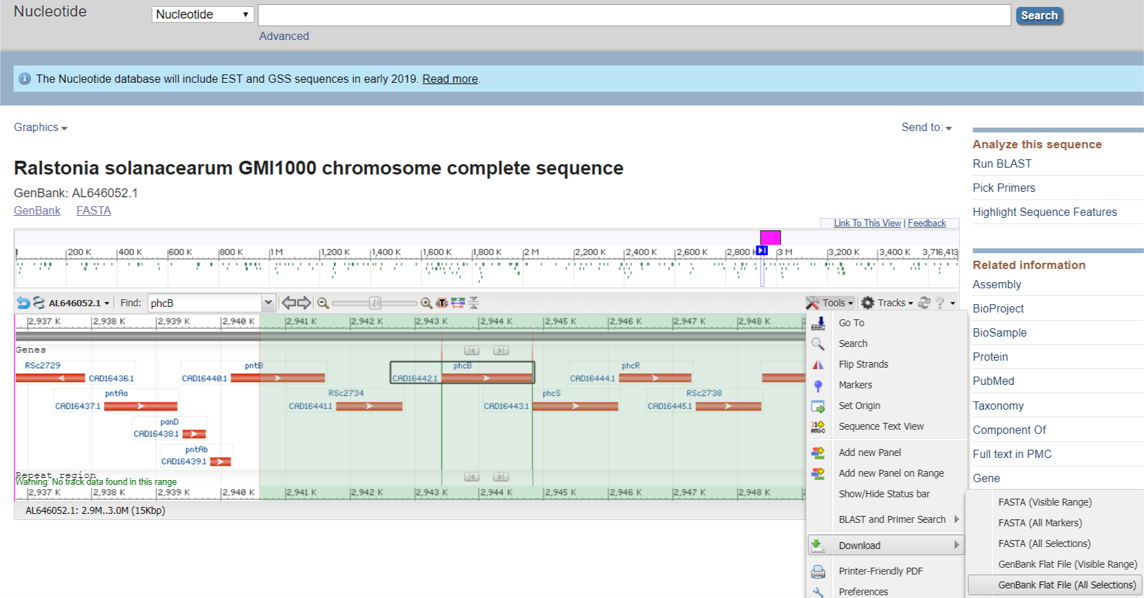 How to export a gene region from genBank