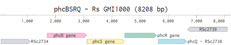 gene locus of wildtype