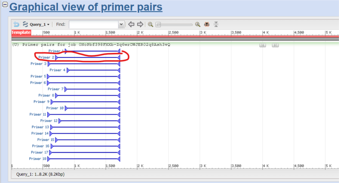 PrimerBlast Graphical View